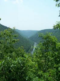 Pine Creek Gorge PA